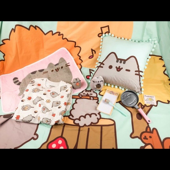 Pillow Cover - from Pusheen Fall 2017 Box - 3 PUSHEEN ITEMS FOR $20 - Picture 4 of 7